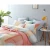 Import colorful pinky bedding sets pillowcase bedsheet and duvet cover set bed in a bag both side 100% cotton for for boys and girls from China