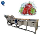 commercial factory supply vegetable air bubble washing machine and drying machine line