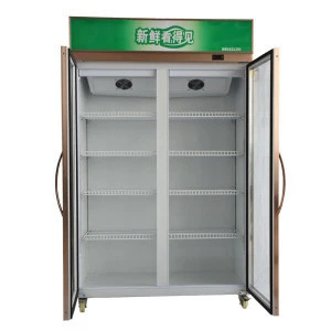 Commercial transparent double glass door display  fridge mini pepsi refrigerator and freezers  merchandisers