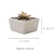 Import Competitive Price Triangle shape Succulent Planter Pot White Modern Decorative Desktop plant pot from China