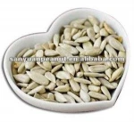 confectionery grade sunflower kernel