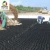 Import Construction materials core gravel stabilizer envirogrid geocell from China