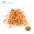 Import Cordyceps Extract Powder Mannitol 10% from China