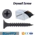 Import Custom Cross Recessed Bugle Head Black Phosphated Drywall Screw from China