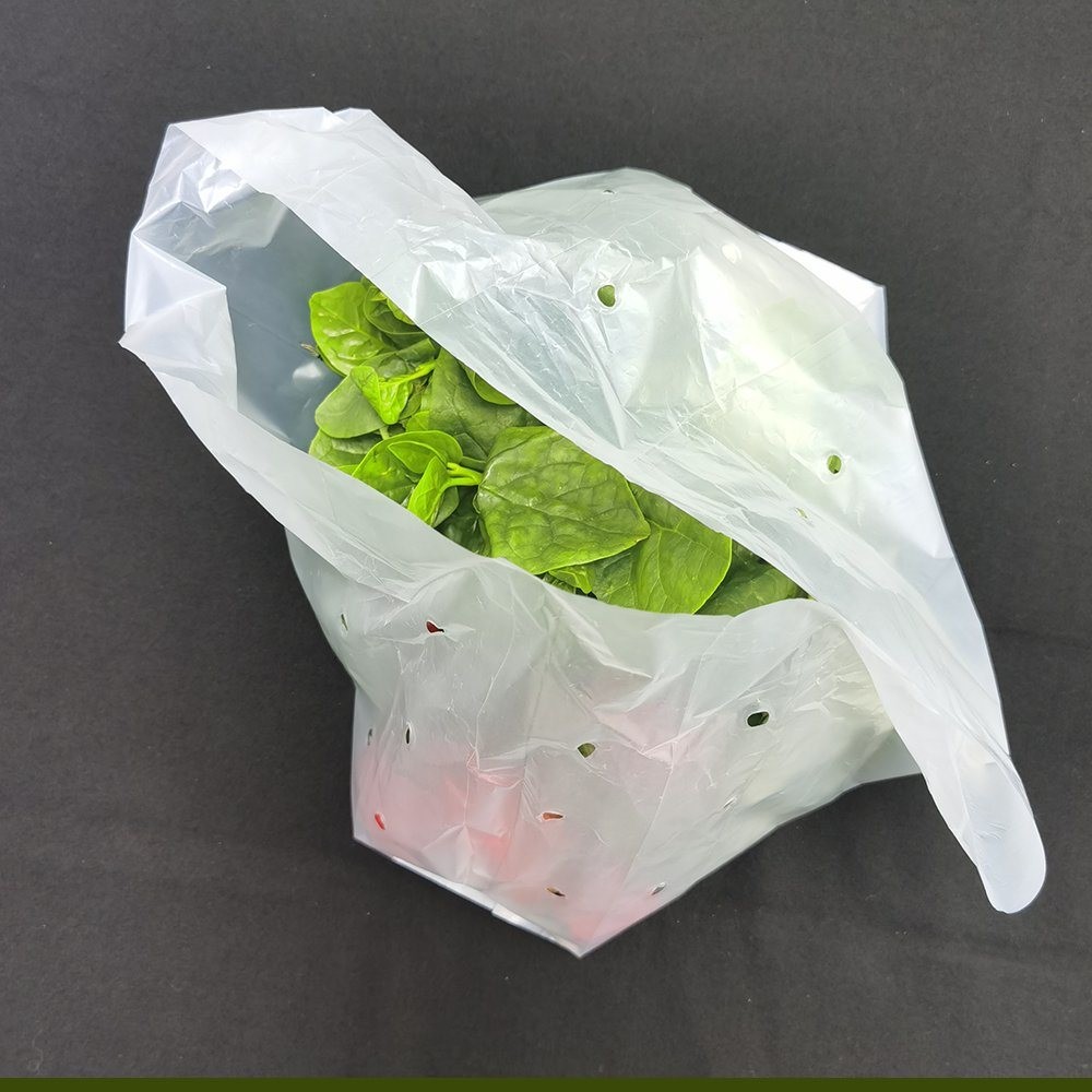 Custom Printing Vegetable Biodegradable Bag
