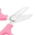 Import Customized Logo Floral Tools Pruning Shears Garden Flower Scissors with Pink Handle from China