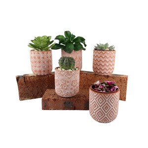 Customized pattern embossed cheap wholesale small garden decoration ceramic planters / home decor succulent plants flower pots