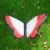 Import Customized size  large butterfly resin crafts insects  sculpture home garden statues outdoor decor from China