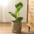 Import Decorative Indoor Weatherproof Flower Pots, Outdoor Garden Plants Grow Bags Washable Kraft Paper storage bag from China