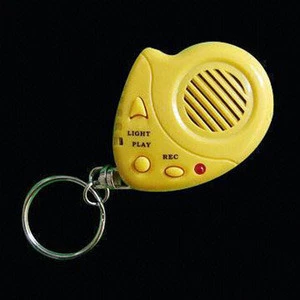Digital Voice Recording Keychains with Torch Function