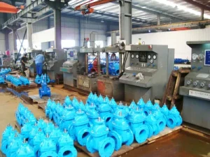 DIN Pn16 Cast/Ductile Iron Flange End Bellow Seal Globe Valve