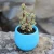 Import Disassembly Combination Plastic Mini Plant Flower Pot from China