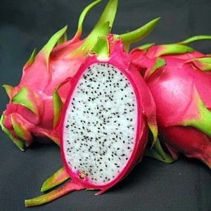 dragon fruit quality for sale best price FROM THAILAND