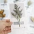 Dried Flower Plant Valentine&#x27;s Day Gift Blessing Birthday Creative Card Photo Booth Props Party Decoration