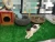 Import Easy care  for indoor artificial grass rolls for dogs or pets from China