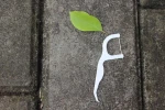 eco-friendly  Corn starch 100% compostable PLA dental floss toothpick flosspick