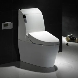 Economic KD-T001A automatic open toilet seat wc ceramic smart intelligent toilet