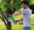 Import Electric double blade cordless hedge trimmer from China