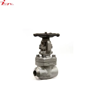 Factory professional discount price customized hand-wheel drive forged steel globe valve GB/T13927 API598