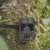 Import Factory Sale IP66 Waterproof Hunting Trail Camera For Home Security from China