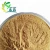 Factory supply high quality Zingiber officinale Roscoe Garlic extract 10:1 Garlic extract  powder