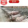 Factory Supply Hot Dipped Galvanized Sow Gestation Crate Steel Structure Pig Farm