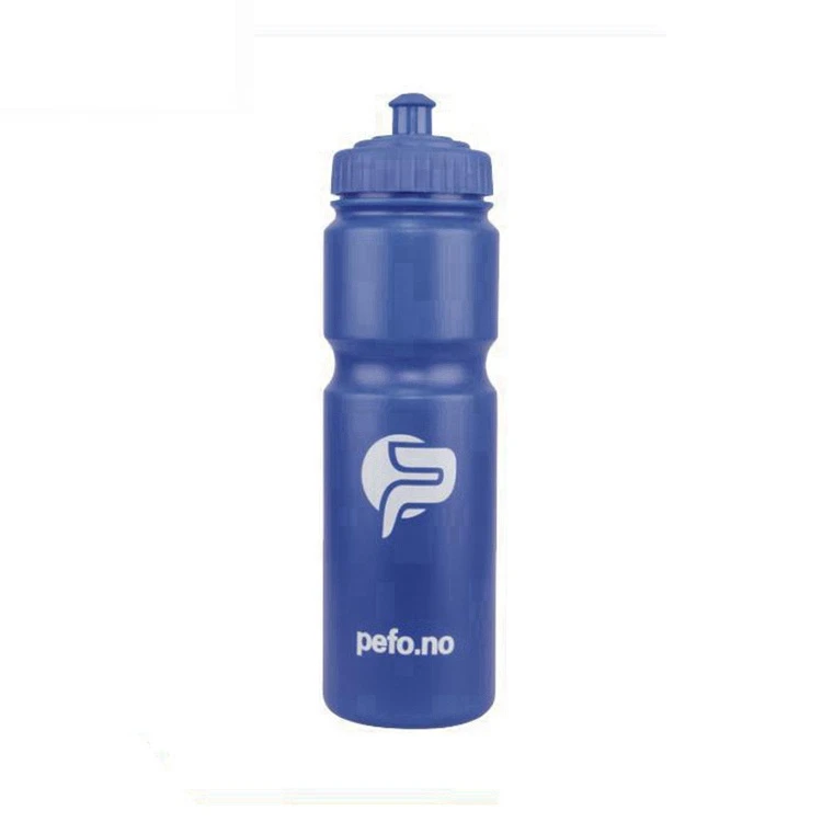 Factory Wholesale 650ml 700ml 750ml Gym Running Hiking Bike Bicycle Cycling Sports Water Bottle Plastic