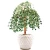 Import Factory wholesale Aventurine money drawing crystal tree crafts for decorative from China