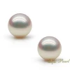 Factory wholesale price half drilled white akoya loose pearl with good quality