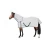 Import FANCY DECORATIVE Cotton Horse Summer Rugs MANUFACTURER from India