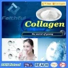 Find Complete Details about collagen anti age,Nutraceutical hydrolyzed bovine collagen
