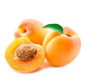 food grade Organic Apricot Kernel for sale