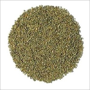 For sale with reasonable price and fast delivery green millet