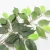Import FREE SAMPLE Hot Sale Artificial Home Decoration Green Banian tree branches and leaves 1 dozen from China