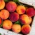 Import Fresh Apricot Top Quality Fresh Apricot, Organic Fresh Apricot, Fresh Dried Apricot Fruit Organic Fresh Apricots/Dried Apricots from China