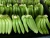 Import Fresh Cavendish Banana from China