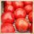 Import Fresh Cherry Tomatoes Raw Green Tomatoes 100% Quality from South Africa