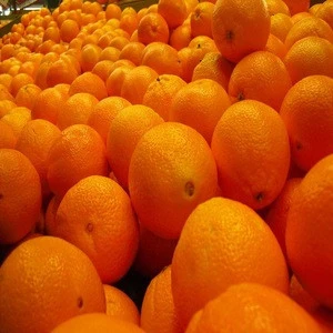 FRESH CITRUS ORANGES FOR SALE AT AFFORDABLE PRICES