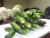 Import Fresh egyptian Cucumber high quality from Egypt