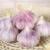 Import fresh garlic purple garlic packing for mesh bag or carton kenya import garlic from china from China
