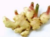 Fresh ginger in vietnam  +84917494755  whatsapp