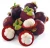 Import fresh Mangosteen from South Africa