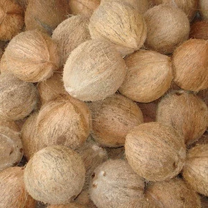 Fresh Mature Coconuts for sale