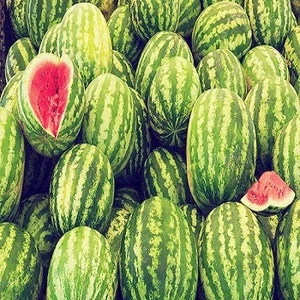 Fresh Melons available for sale