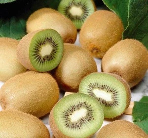 Fresh Organic Sweet Delicious Kiwi Fruits Wholesale Price