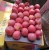 Import Fresh red apple/new good cold stock/fuji small size from China