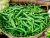 Import fresh vegetable okra supplier from Ukraine