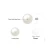 Import Freshwater Cultured Pearl Button Ball Stud Earrings 925 Sterling Silver Jewelry for Women From JewelryPalace from China