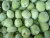 Import Frozen Freeze Fresh Kiwi Fruit Prices 1kg from China