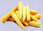 Frozen F&V